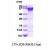 SDS-Page: Calreticulin Protein [NBP1-44499] - Calreticulin, 48.7 kDa (421aa), confirmed by MALDI-TOF with a purity of 85% by SDS - PAGE